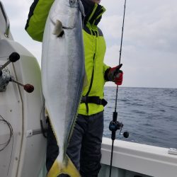 アマテラス 釣果