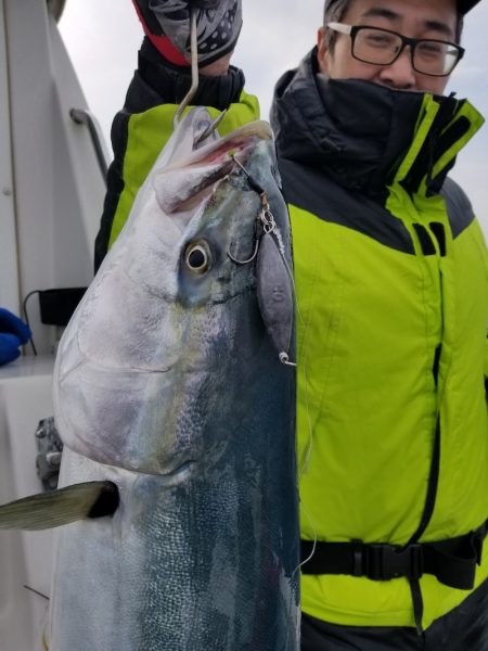 アマテラス 釣果