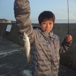 ありもと丸 釣果