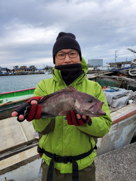 富士丸 釣果