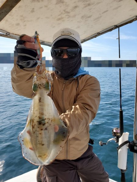 ソルトウォーターガイドフレンズ 釣果