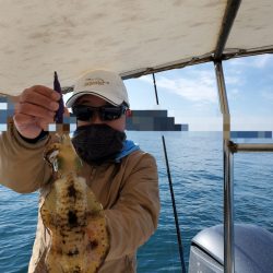 ソルトウォーターガイドフレンズ 釣果