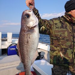 エンペラー 釣果