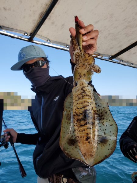 ソルトウォーターガイドフレンズ 釣果