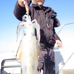 ブルースフィッシングサービス 釣果