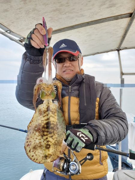 ソルトウォーターガイドフレンズ 釣果