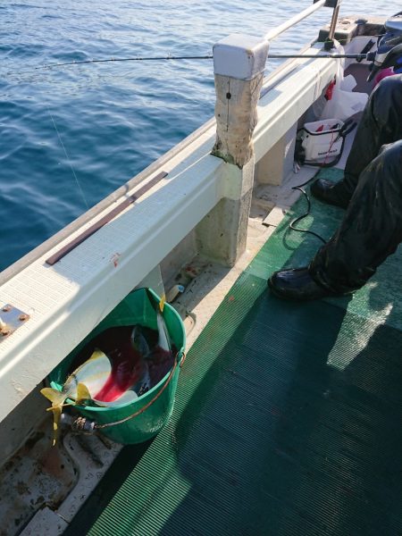 鷹王丸 釣果