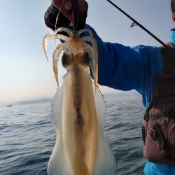 ブルースフィッシングサービス 釣果