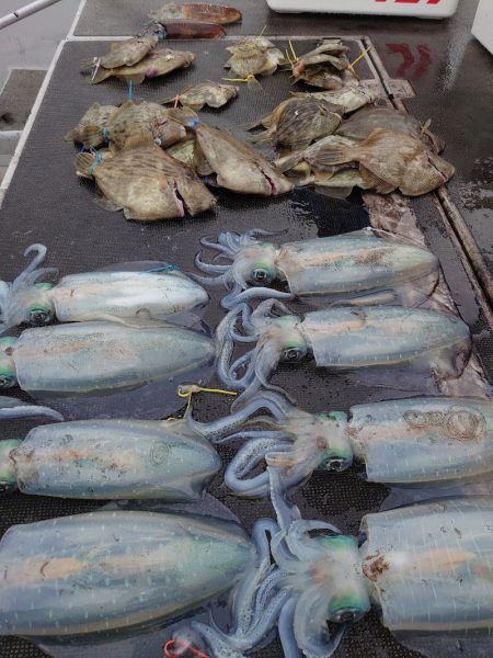 ブルースフィッシングサービス 釣果