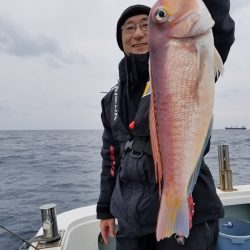 アマテラス 釣果