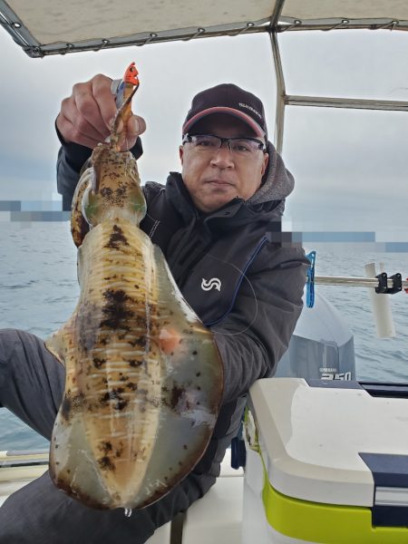 ソルトウォーターガイドフレンズ 釣果