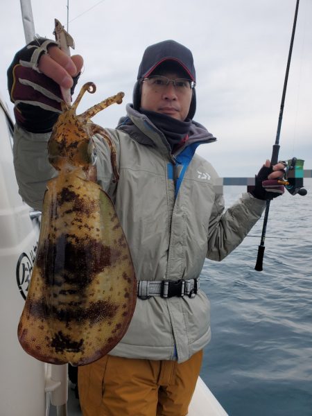 ソルトウォーターガイドフレンズ 釣果