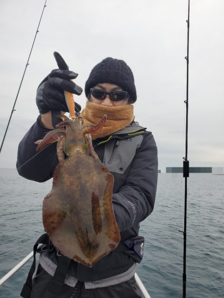 ソルトウォーターガイドフレンズ 釣果