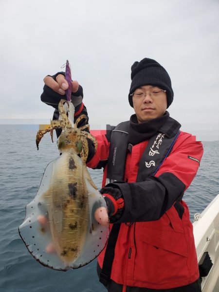 ソルトウォーターガイドフレンズ 釣果