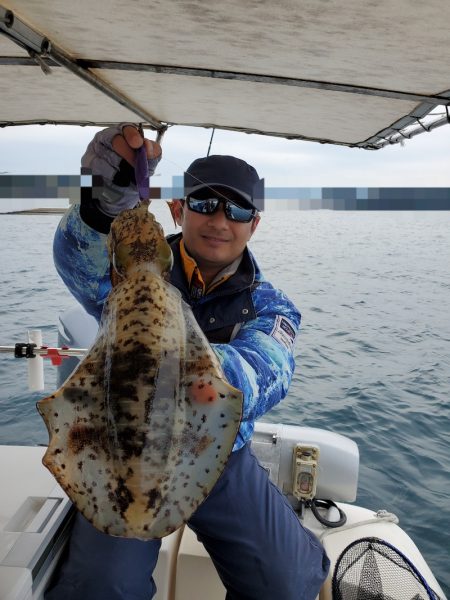 ソルトウォーターガイドフレンズ 釣果