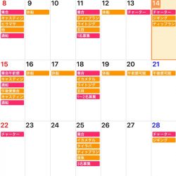 「LaGooN」蒼陽丸 日和号 釣果