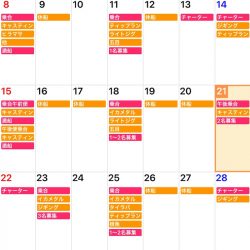 「LaGooN」蒼陽丸 日和号 釣果