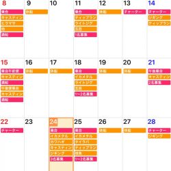 「LaGooN」蒼陽丸 日和号 釣果