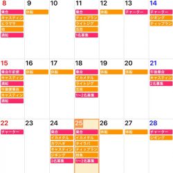 「LaGooN」蒼陽丸 日和号 釣果