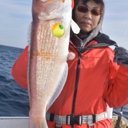 渡船屋たにぐち 釣果