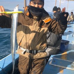 ヤザワ渡船 釣果