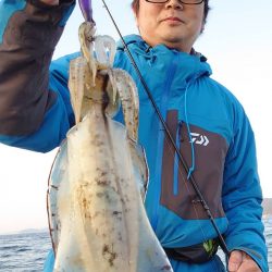 ブルースフィッシングサービス 釣果