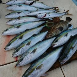 宝生丸 釣果