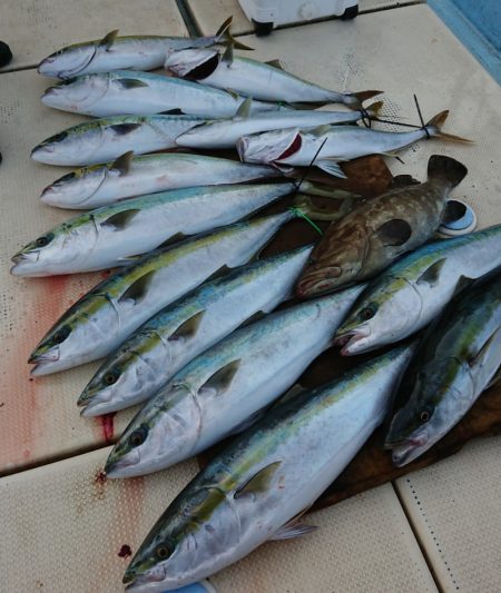 宝生丸 釣果
