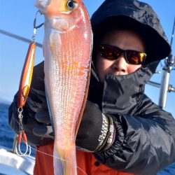 渡船屋たにぐち 釣果