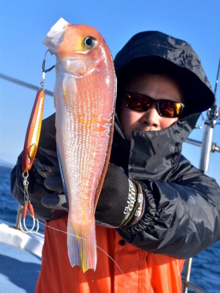 渡船屋たにぐち 釣果
