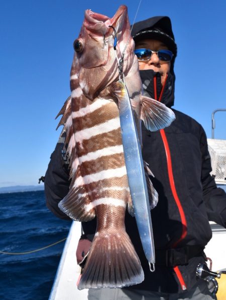 渡船屋たにぐち 釣果