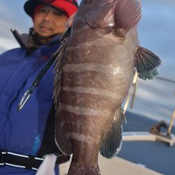 渡船屋たにぐち 釣果