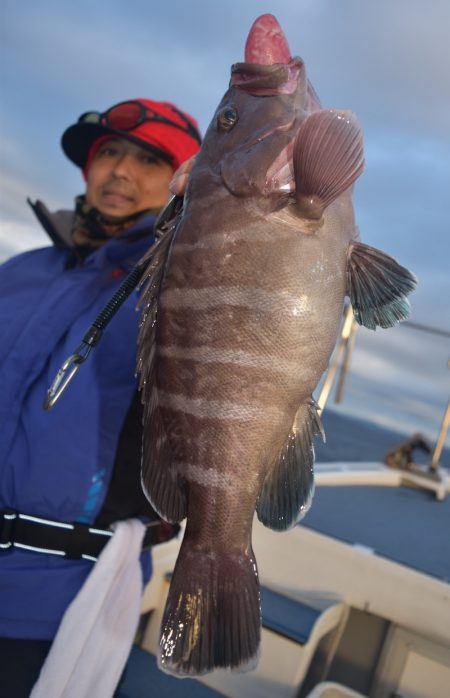 渡船屋たにぐち 釣果