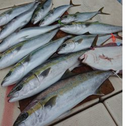 宝生丸 釣果