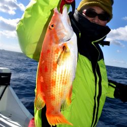 渡船屋たにぐち 釣果