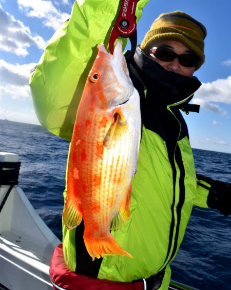 渡船屋たにぐち 釣果