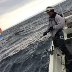幕島丸 釣果
