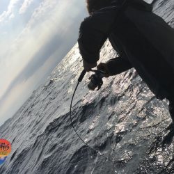 幕島丸 釣果