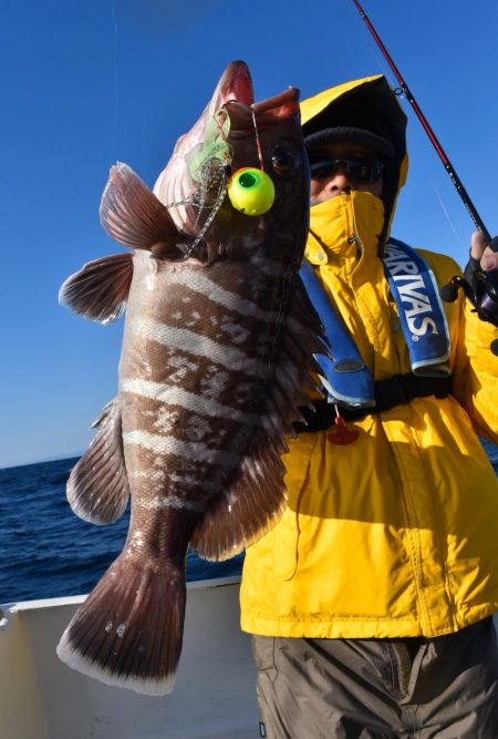 渡船屋たにぐち 釣果