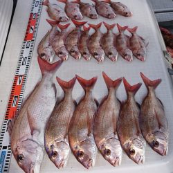 遊漁船 家入 釣果