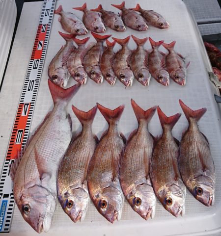 遊漁船　家入 釣果