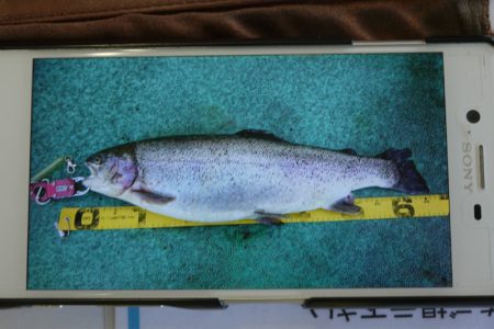 としまえんフィッシングエリア 釣果