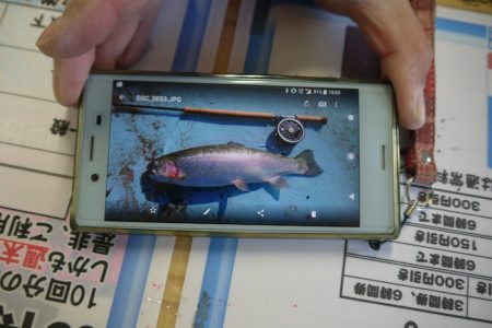 としまえんフィッシングエリア 釣果