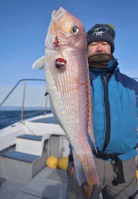 渡船屋たにぐち 釣果