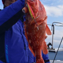 渡船屋たにぐち 釣果