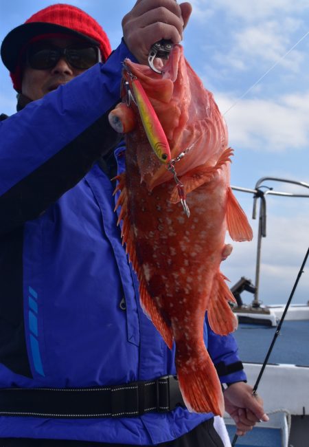 渡船屋たにぐち 釣果
