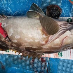 海龍丸（石川） 釣果