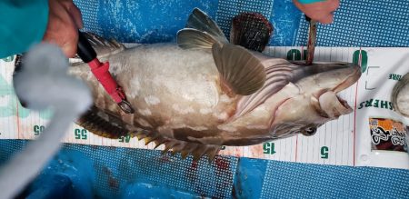 海龍丸（石川） 釣果