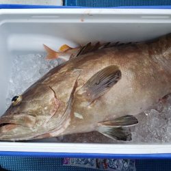 海龍丸（石川） 釣果