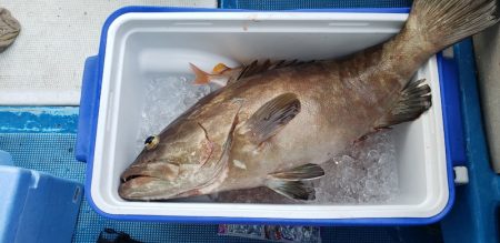 海龍丸（石川） 釣果